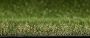 27mm Artificial Grass - Elise - 2m x 5m