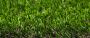 30mm Artificial Grass - Ludus - 2m x 30m